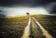 Arbre-chemin